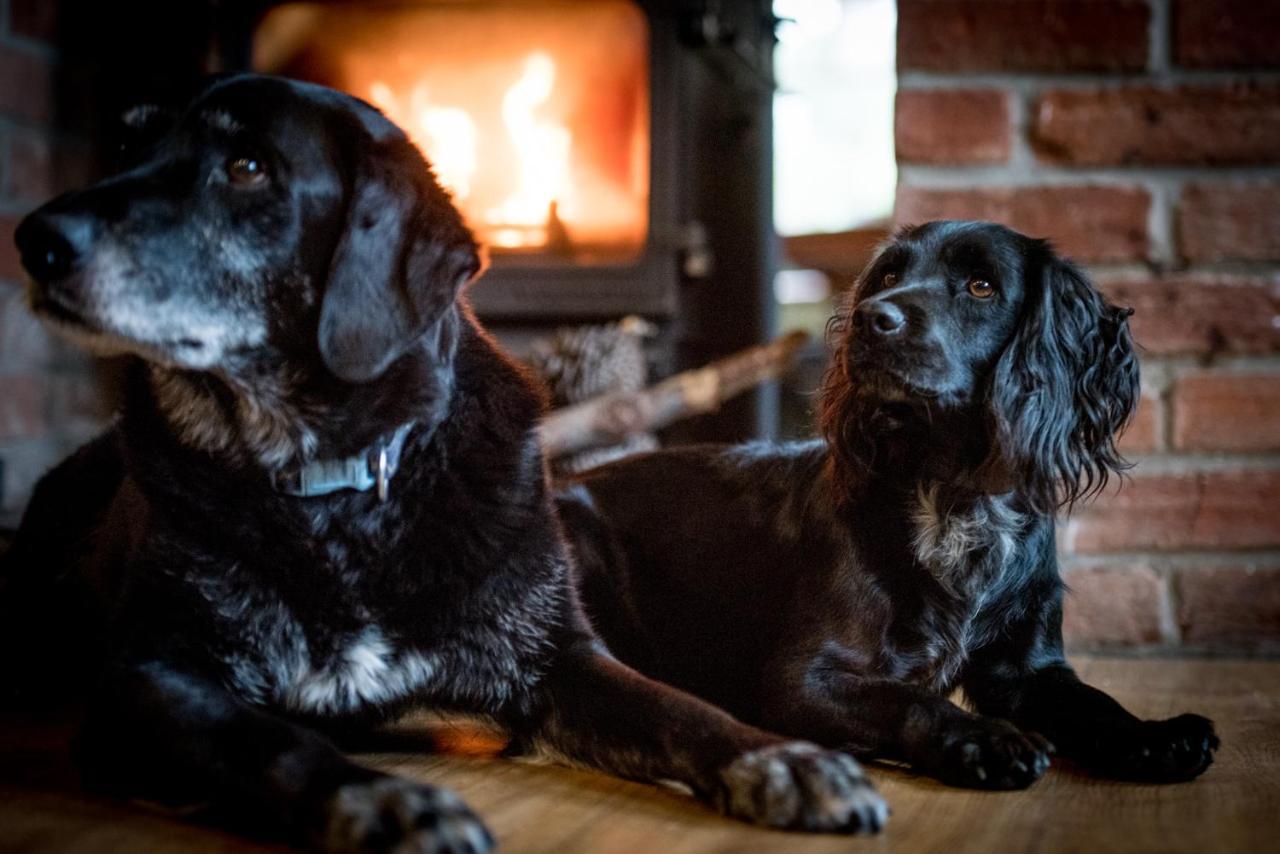 Hotel The Kings Arms Otterton Budleigh Salterton Esterno foto